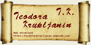 Teodora Krupljanin vizit kartica